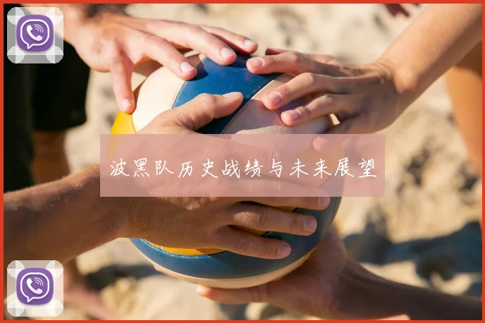 波黑队历史战绩与未来展望