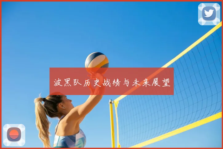 波黑队历史战绩与未来展望